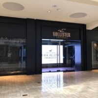 HOLLISTER Hollister